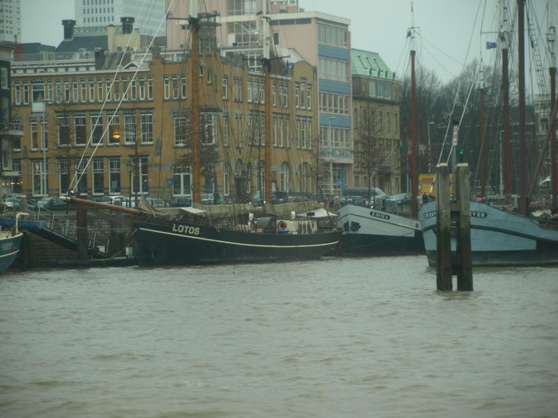 Rotterdam 2011 HP 008