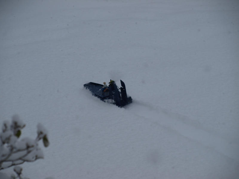 Sumpfboot im Schnee 004